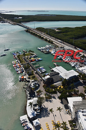 FPC MIAMI 215 1278